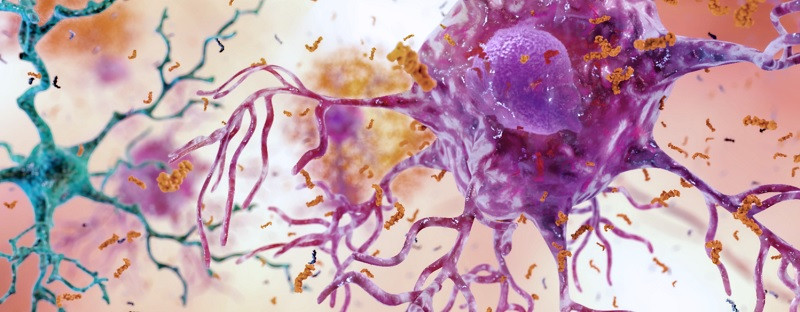Sinapsis neuronal