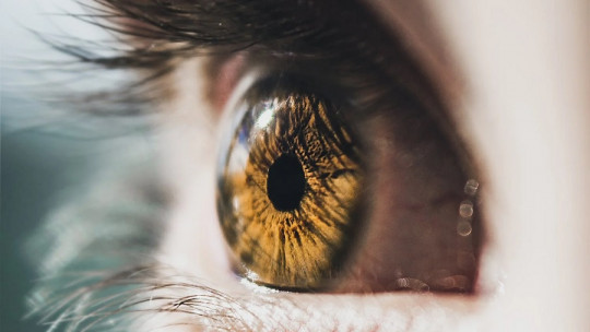 ¿Cómo funciona la terapia EMDR?