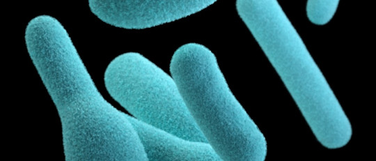 Antibiosis
