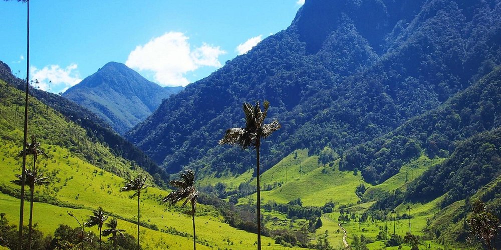 Psicólogos infantiles en Armenia (Colombia)