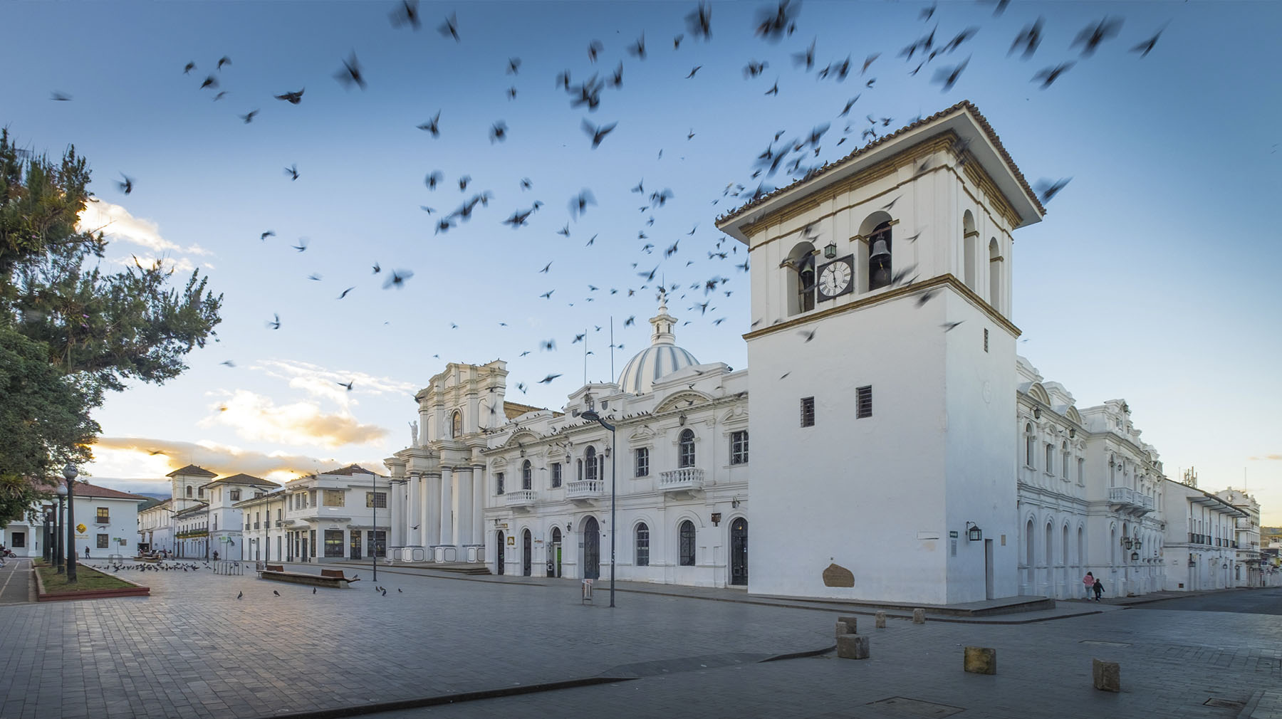 Psicólogos en Popayán
