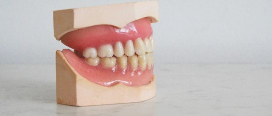 Tipos de dientes