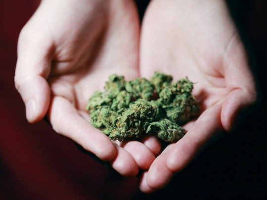 Tatiana Barbaran: «Es falso que la marihuana no sea dañina por ser natural»
