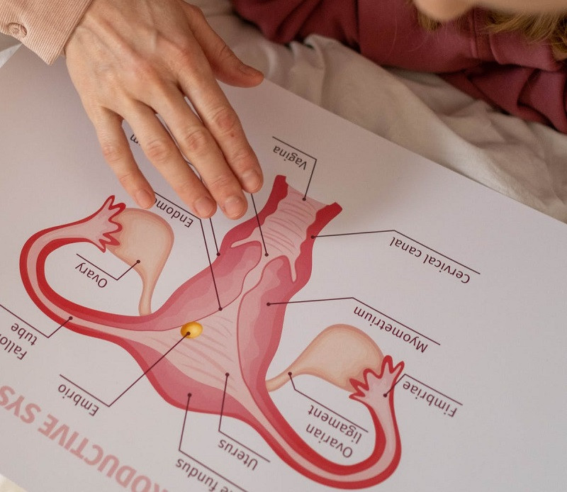 Sexología para adolescentes
