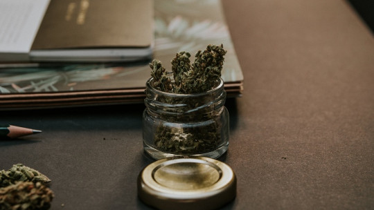 ¿Cuáles son las diferencias entre la marihuana y el hachís?